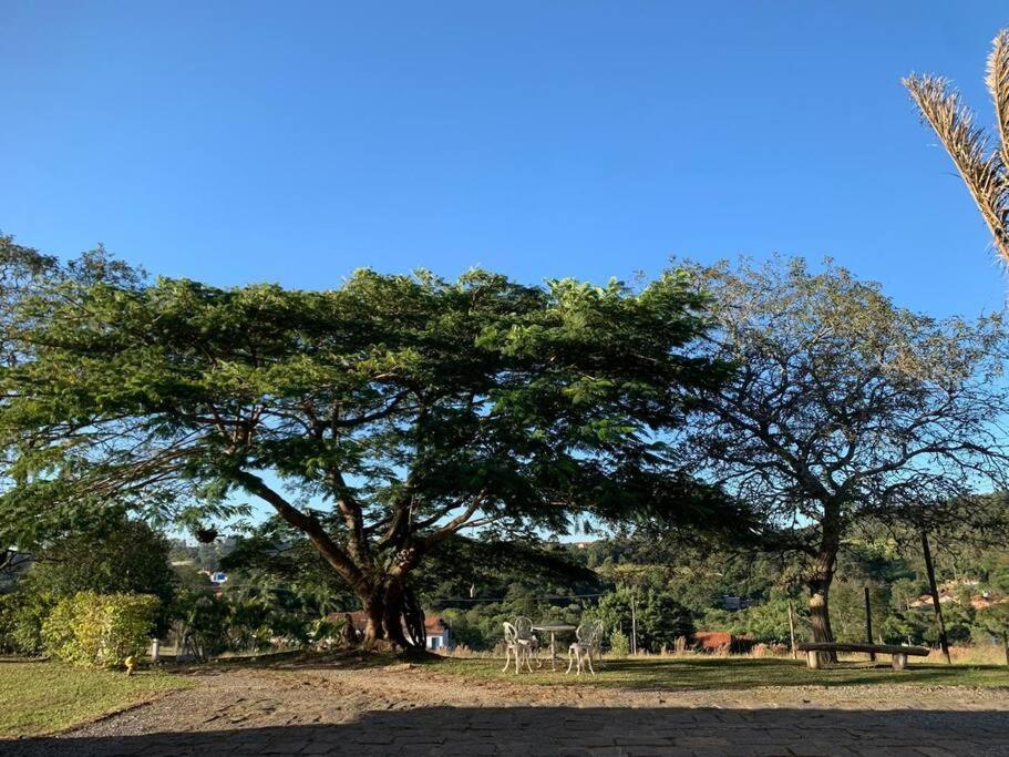 São Roque Quarto Dos Vinhosヴィラ エクステリア 写真